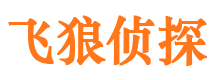 田家庵市调查公司